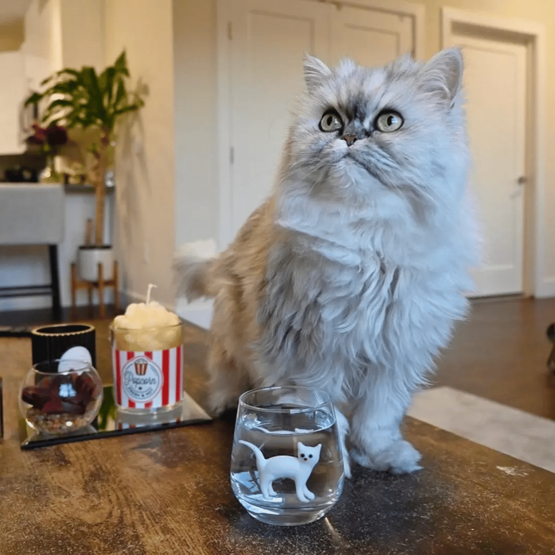 π± Handmade Murano Glass Cat Wine Glass